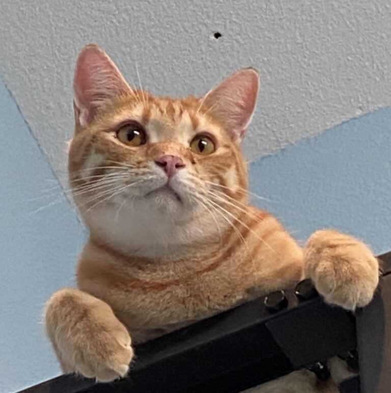 Odysseus